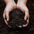 Fertilizer Soil