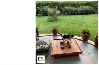 Dış Mekan Ahşap Kedi Mama Platformu