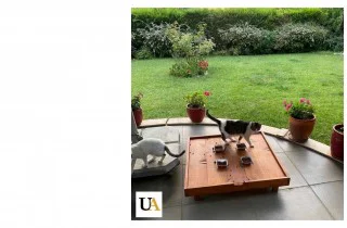 Dış Mekan Ahşap Kedi Mama Platformu