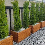 Kertme Ahşap Saksı Kertme Ahşap Saksı