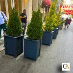 Geçmeli Ahşap Saksı