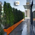 Lambri Ahşap Saksı 2