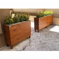 Altuni Taflan Çiçeği Altuni Taflan Çiçeği