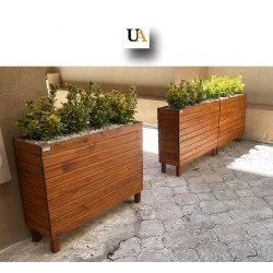 Altuni Taflan Çiçeği Altuni Taflan Çiçeği