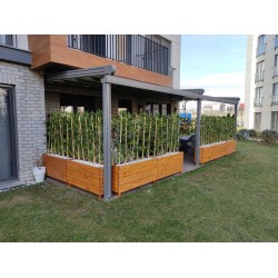 Bamboo in Wooden Flowerpot